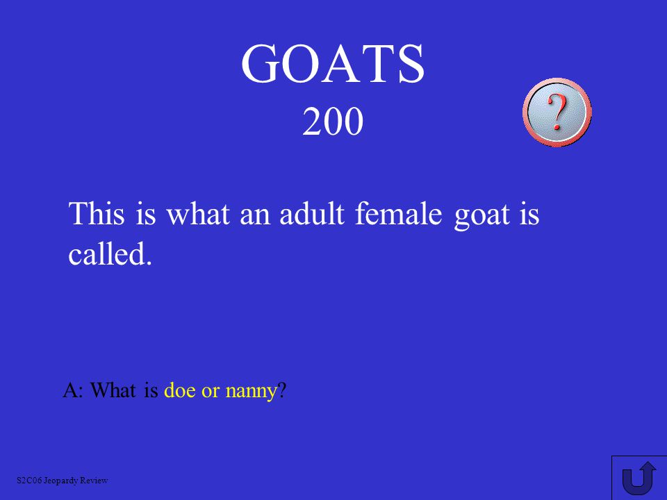 GOATS 100 A: What is a Kid S2C06 Jeopardy Review This what a baby goat is called.