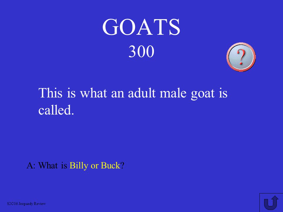GOATS 200 A: What is doe or nanny.