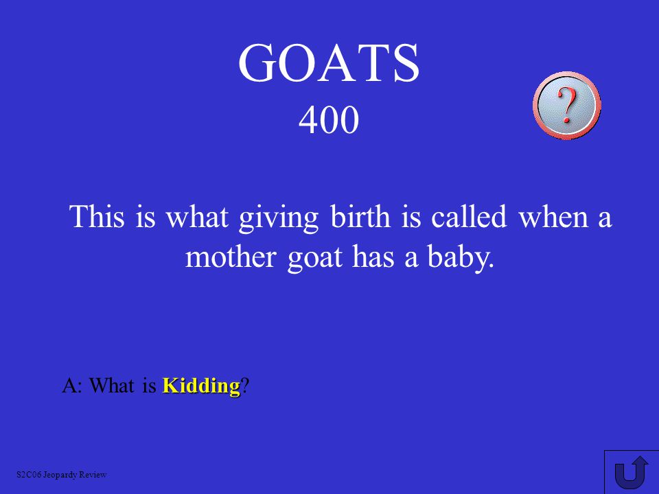 GOATS 300 A: What is Billy or Buck.