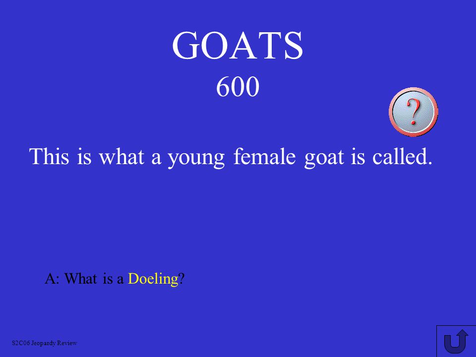 GOATS 500 A: What is Chevon or Cabrito S2C06 Jeopardy Review This is what goat meat is called.