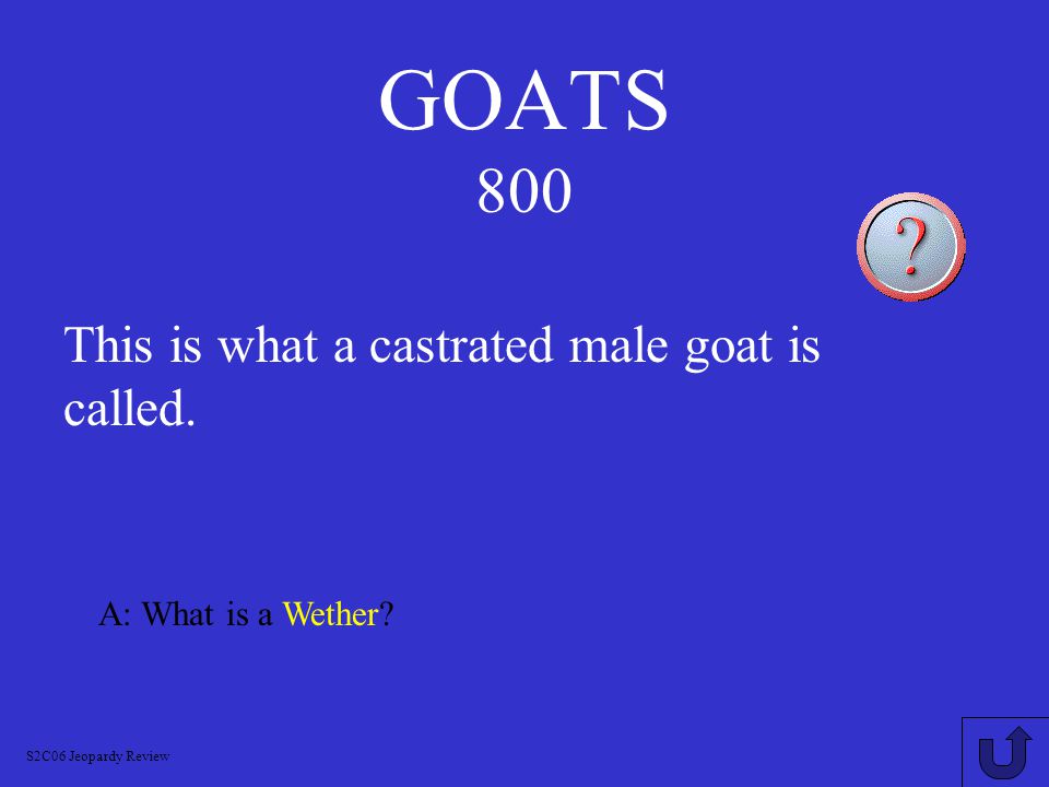GOATS 700 A: What is a Buckling S2C06 Jeopardy Review This is what a young male goat is called.