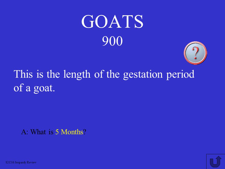 GOATS 800 A: What is a Wether S2C06 Jeopardy Review This is what a castrated male goat is called.