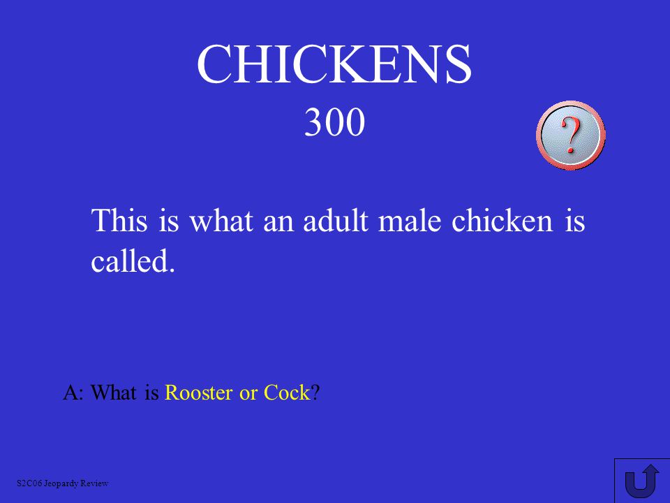 CHICKENS 200 A: What is a Hen.