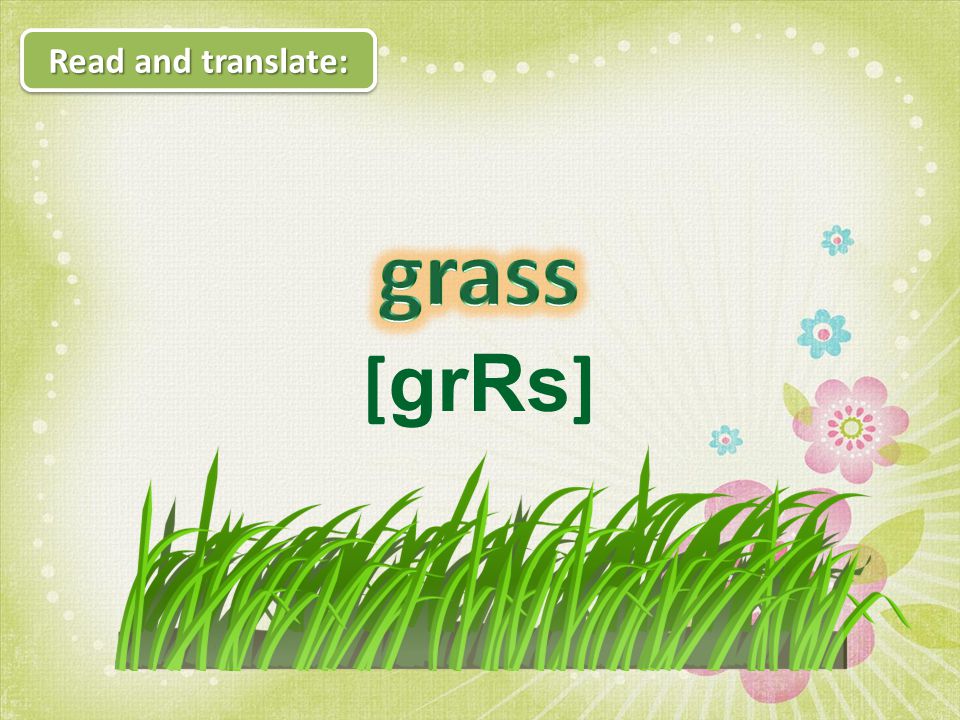 Grass is перевод