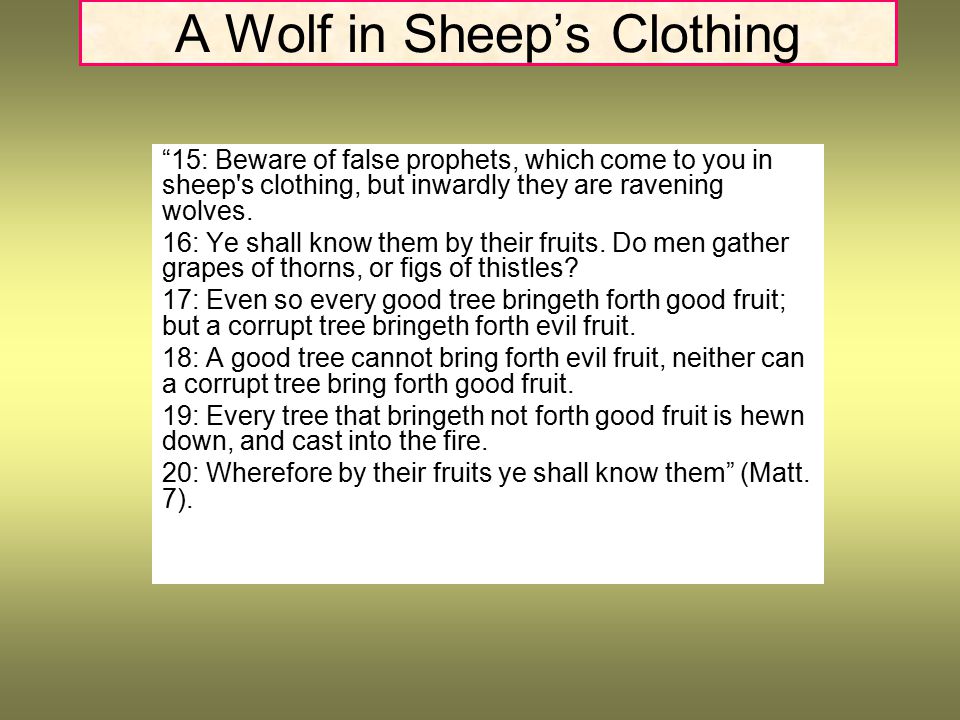 A Wolf in Sheep’s Clothing 15: Beware of false prophets, which come to you in sheep s clothing, but inwardly they are ravening wolves.