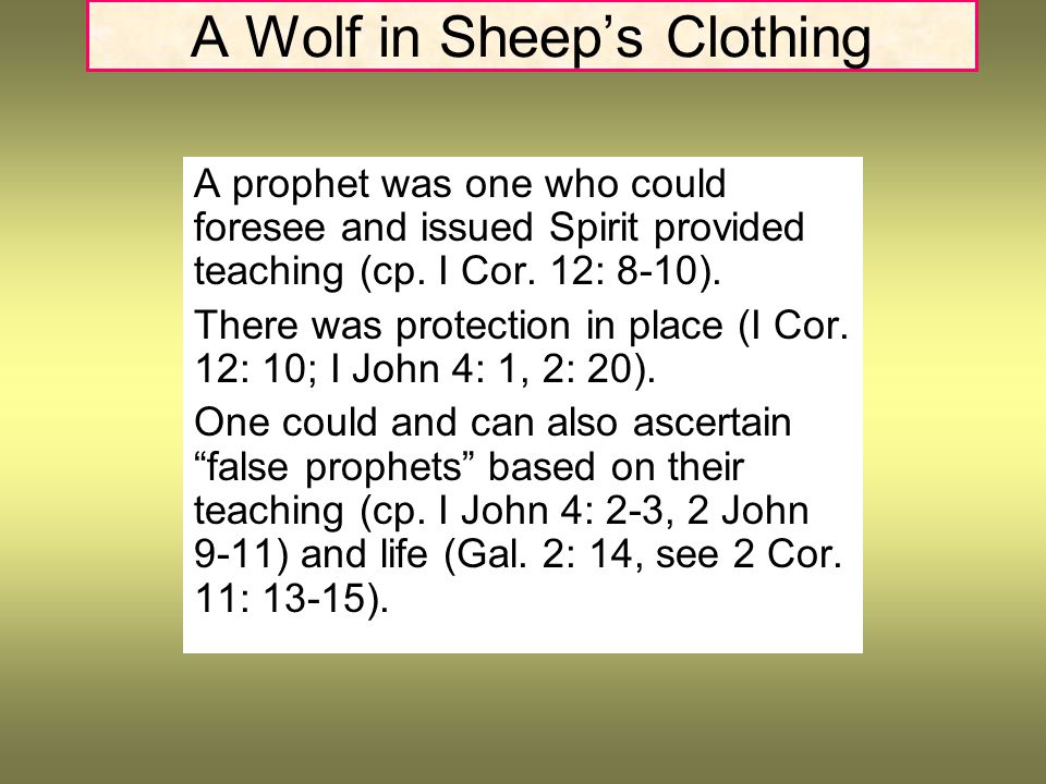 A Wolf in Sheep’s Clothing A prophet was one who could foresee and issued Spirit provided teaching (cp.