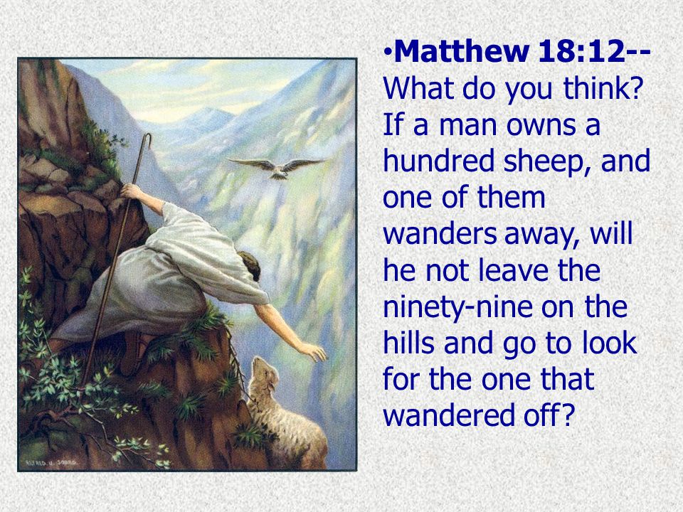 Matthew 18:12-- What do you think.