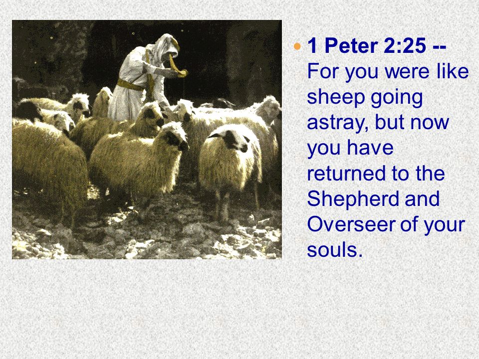 1 Peter 2:25 -- For you were like sheep going astray, but now you have returned to the Shepherd and Overseer of your souls.