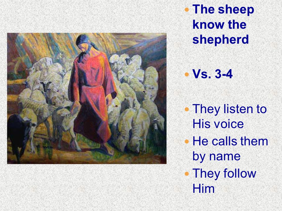 The sheep know the shepherd Vs. 3-4 They listen to His voice He calls them by name They follow Him