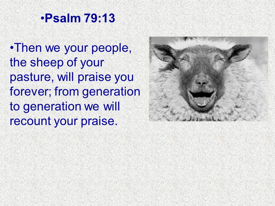 Psalm 79:13 Then we your people, the sheep of your pasture, will praise you forever; from generation to generation we will recount your praise.
