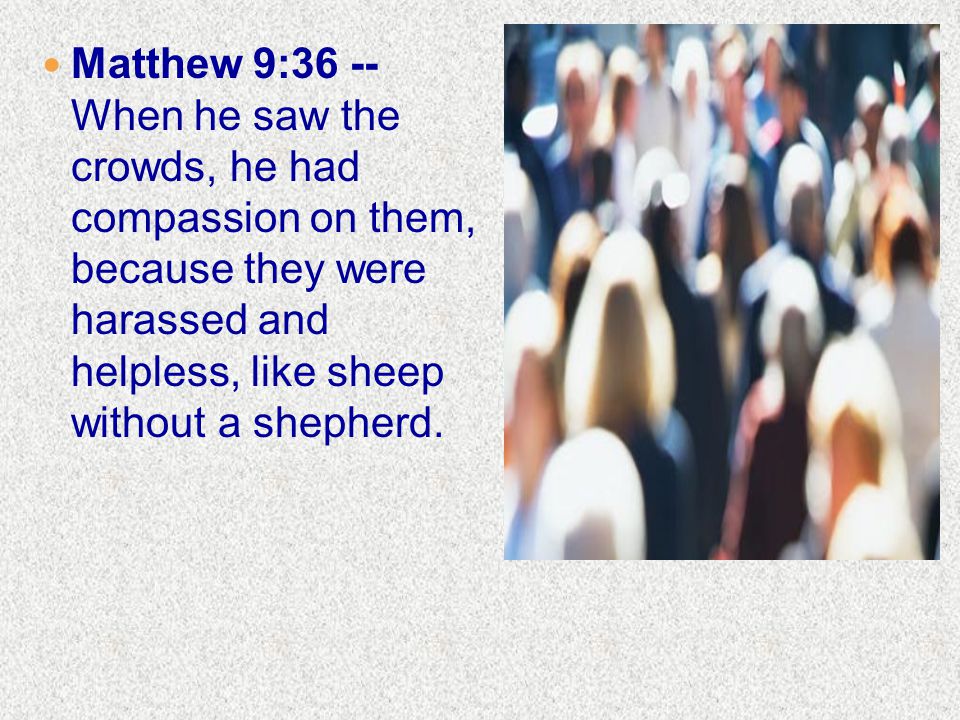 Matthew 9:36 -- When he saw the crowds, he had compassion on them, because they were harassed and helpless, like sheep without a shepherd.