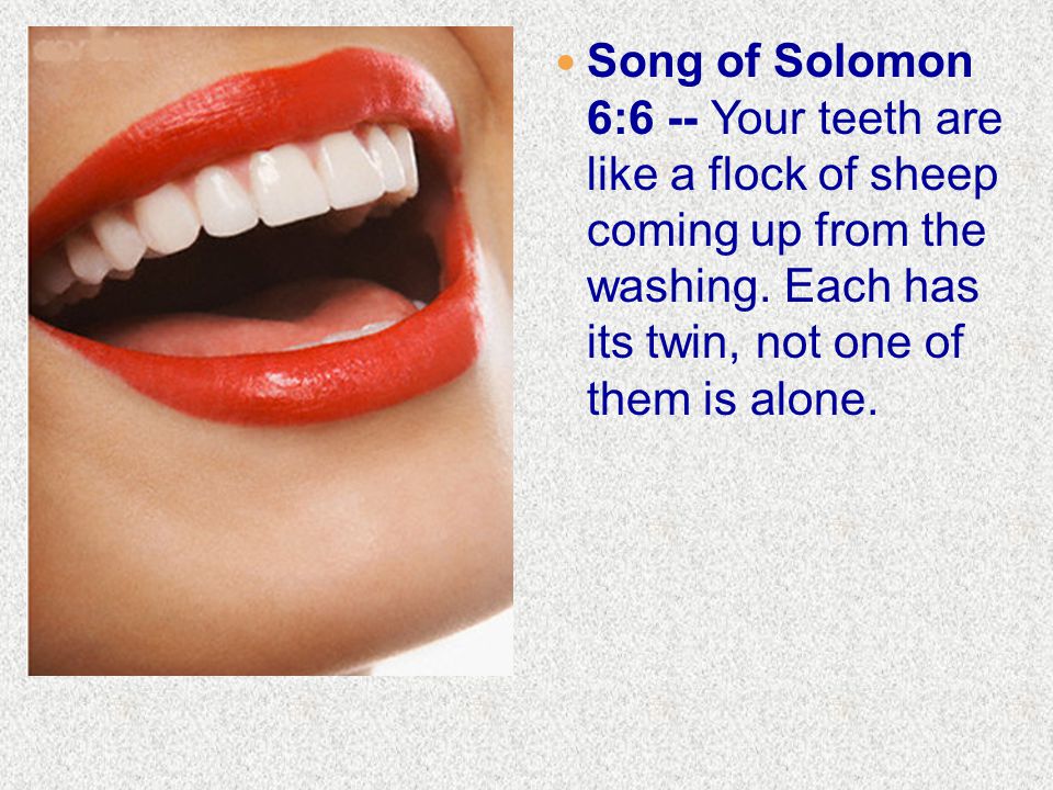 Song of Solomon 6:6 -- Your teeth are like a flock of sheep coming up from the washing.