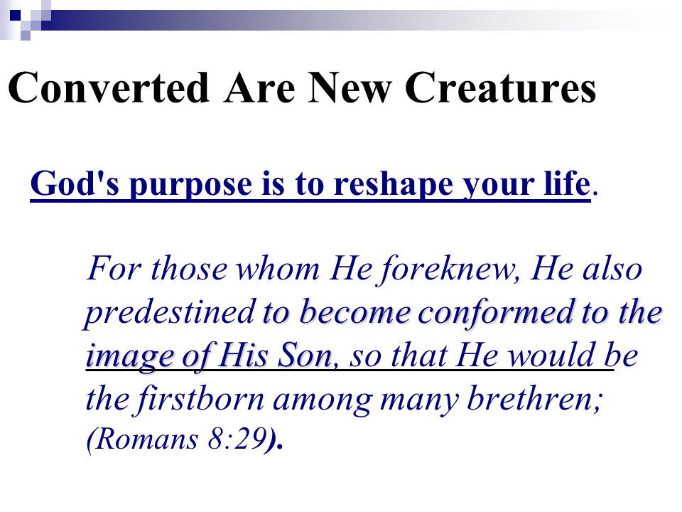God s purpose is to reshape your life.