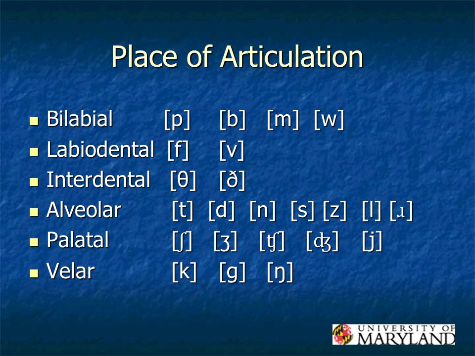 Ling 240 Language And Mind Phonetics Phonetics The Study Of Physical Properties Of Sound Sounds May Not Be Represented Systematically By Spelling Examples Ppt Download