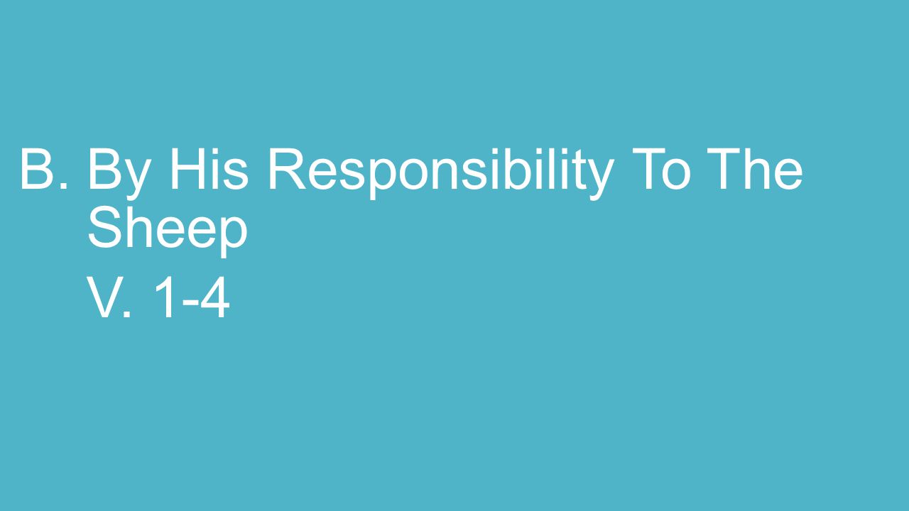 B.By His Responsibility To The Sheep V. 1-4