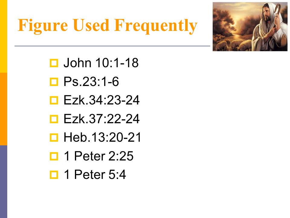 Figure Used Frequently  John 10:1-18  Ps.23:1-6  Ezk.34:23-24  Ezk.37:22-24  Heb.13:20-21  1 Peter 2:25  1 Peter 5:4