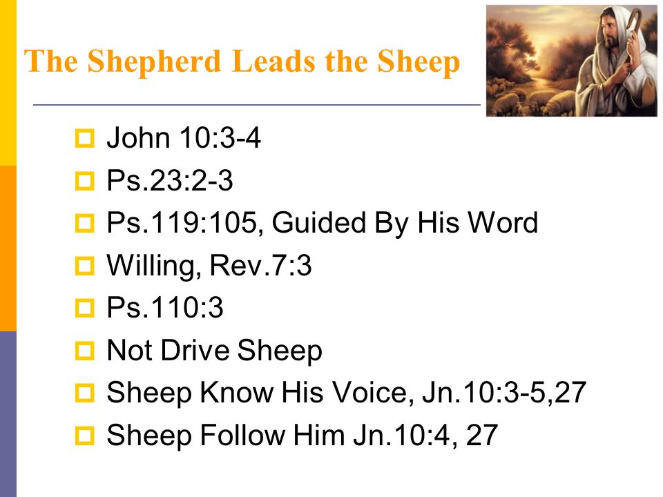 The Shepherd Leads the Sheep  John 10:3-4  Ps.23:2-3  Ps.119:105, Guided By His Word  Willing, Rev.7:3  Ps.110:3  Not Drive Sheep  Sheep Know His Voice, Jn.10:3-5,27  Sheep Follow Him Jn.10:4, 27