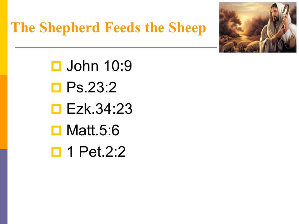 The Shepherd Feeds the Sheep  John 10:9  Ps.23:2  Ezk.34:23  Matt.5:6  1 Pet.2:2