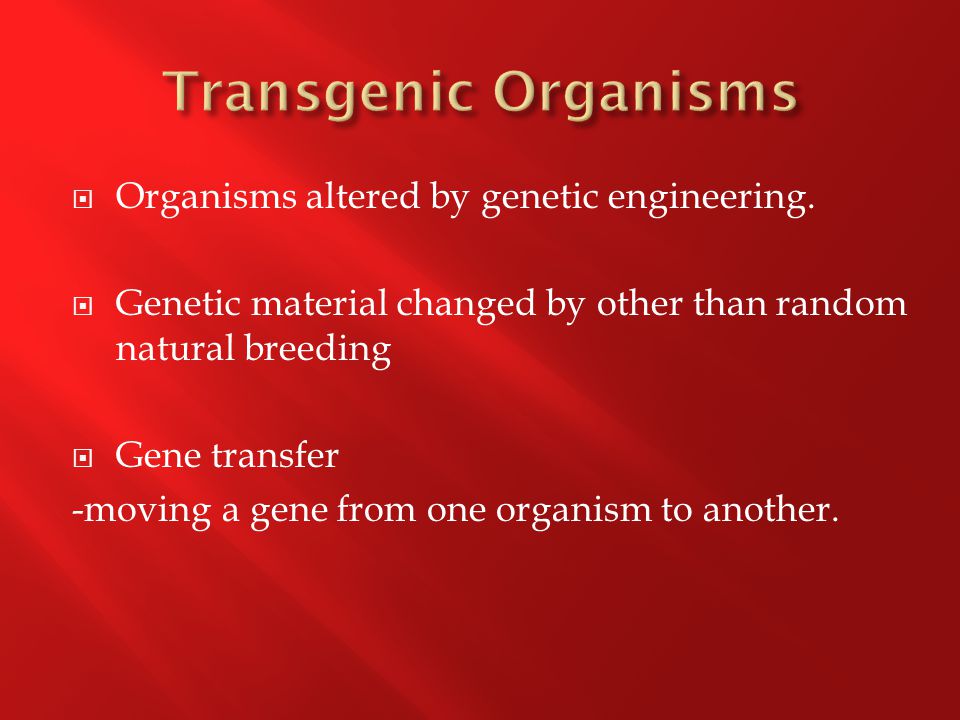  Organisms altered by genetic engineering.