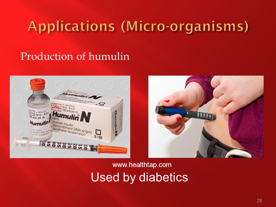 28 Production of humulin Used by diabetics