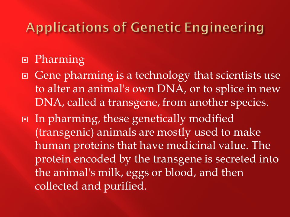  Pharming  Gene pharming is a technology that scientists use to alter an animal s own DNA, or to splice in new DNA, called a transgene, from another species.