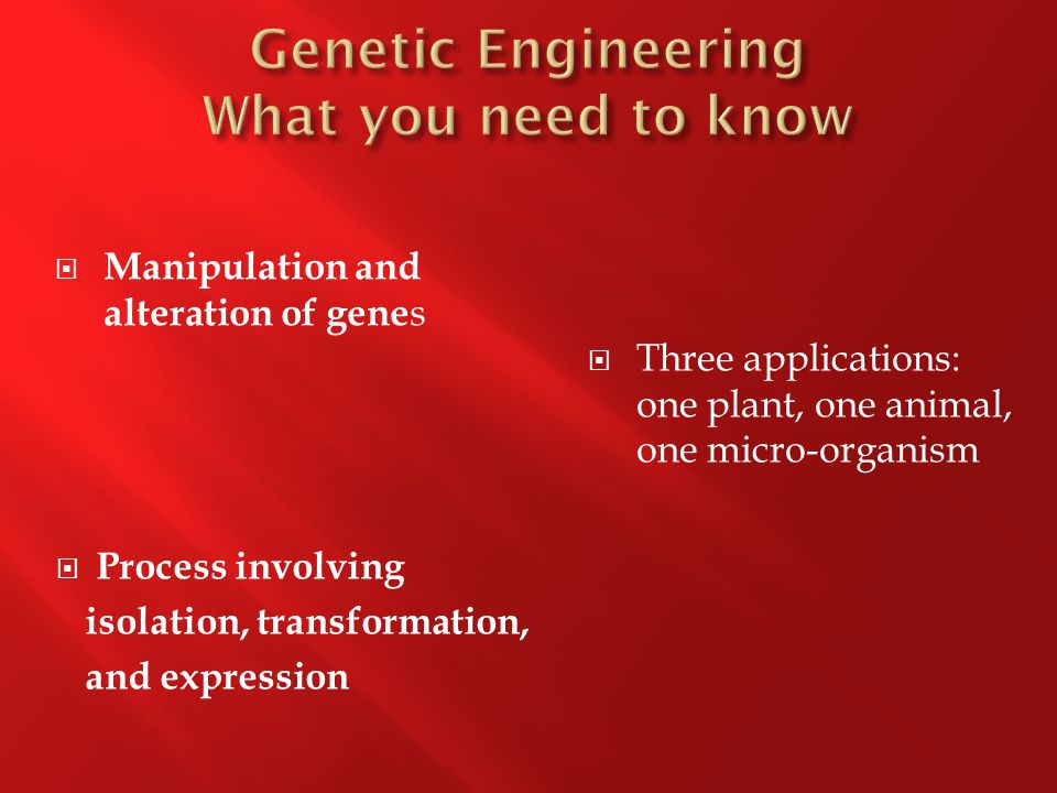  Manipulation and alteration of gene s  Three applications: one plant, one animal, one micro-organism  Process involving isolation, transformation, and expression