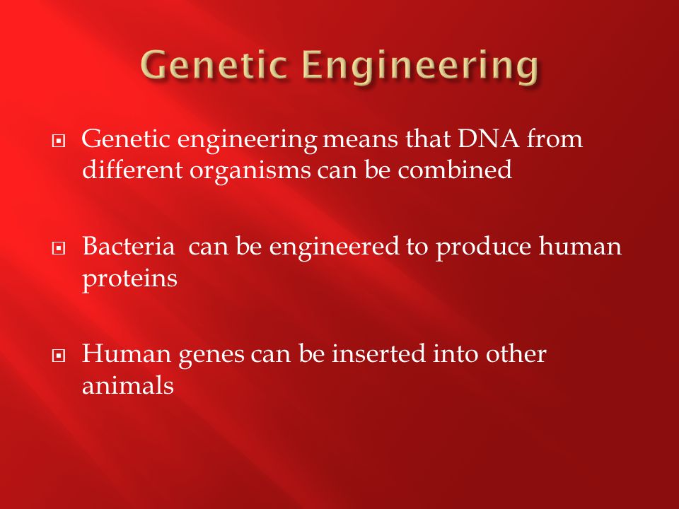  Genetic engineering means that DNA from different organisms can be combined  Bacteria can be engineered to produce human proteins  Human genes can be inserted into other animals