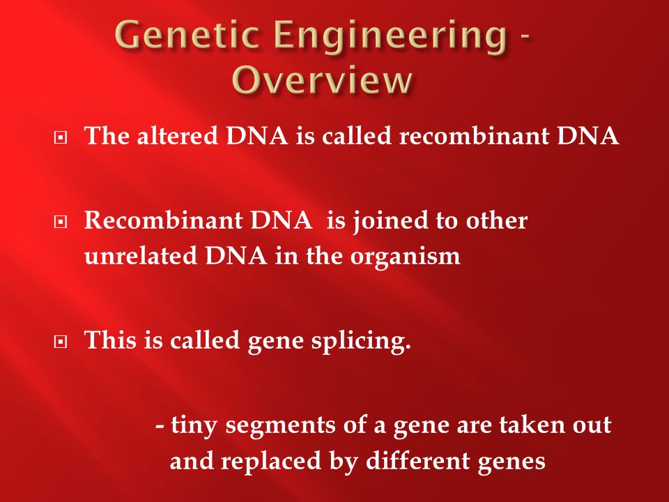  The altered DNA is called recombinant DNA  Recombinant DNA is joined to other unrelated DNA in the organism  This is called gene splicing.