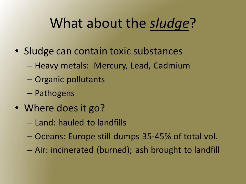 What about the sludge.