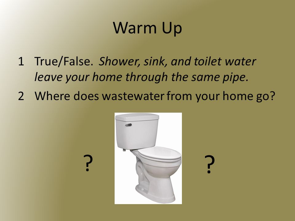 Warm Up 1True/False. Shower, sink, and toilet water leave your home through the same pipe.