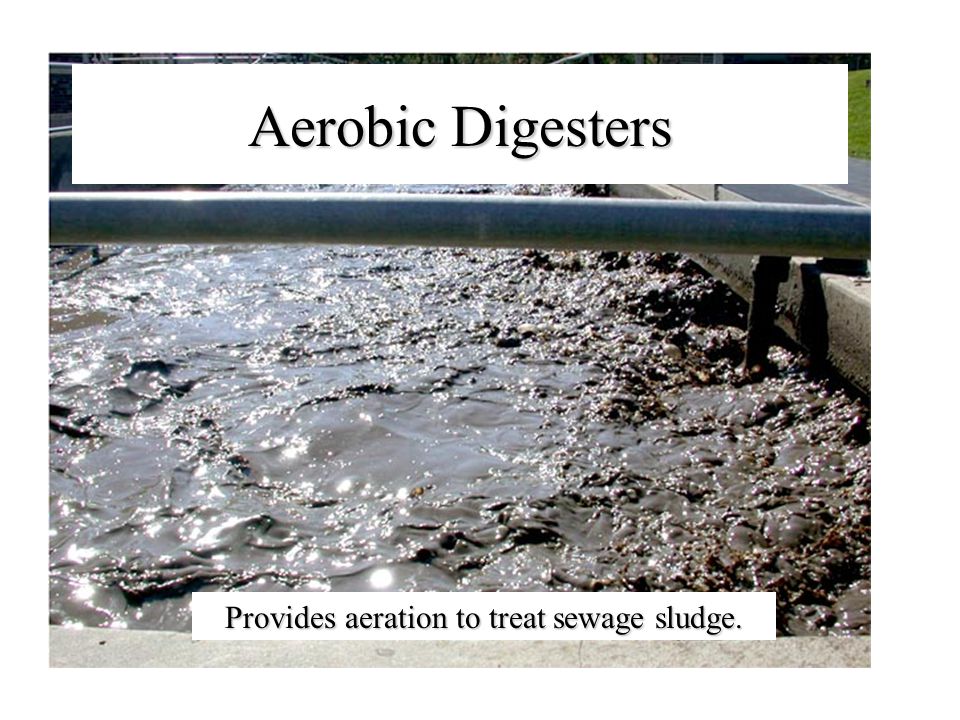 Aerobic Digesters Provides aeration to treat sewage sludge.