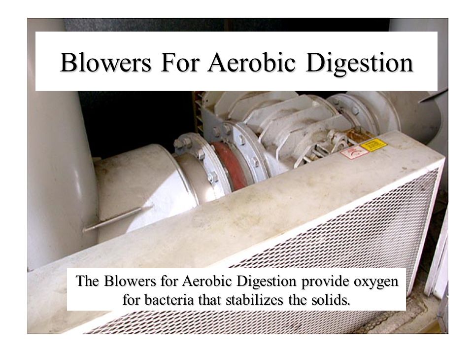 The Blowers for Aerobic Digestion provide oxygen for bacteria that stabilizes the solids.