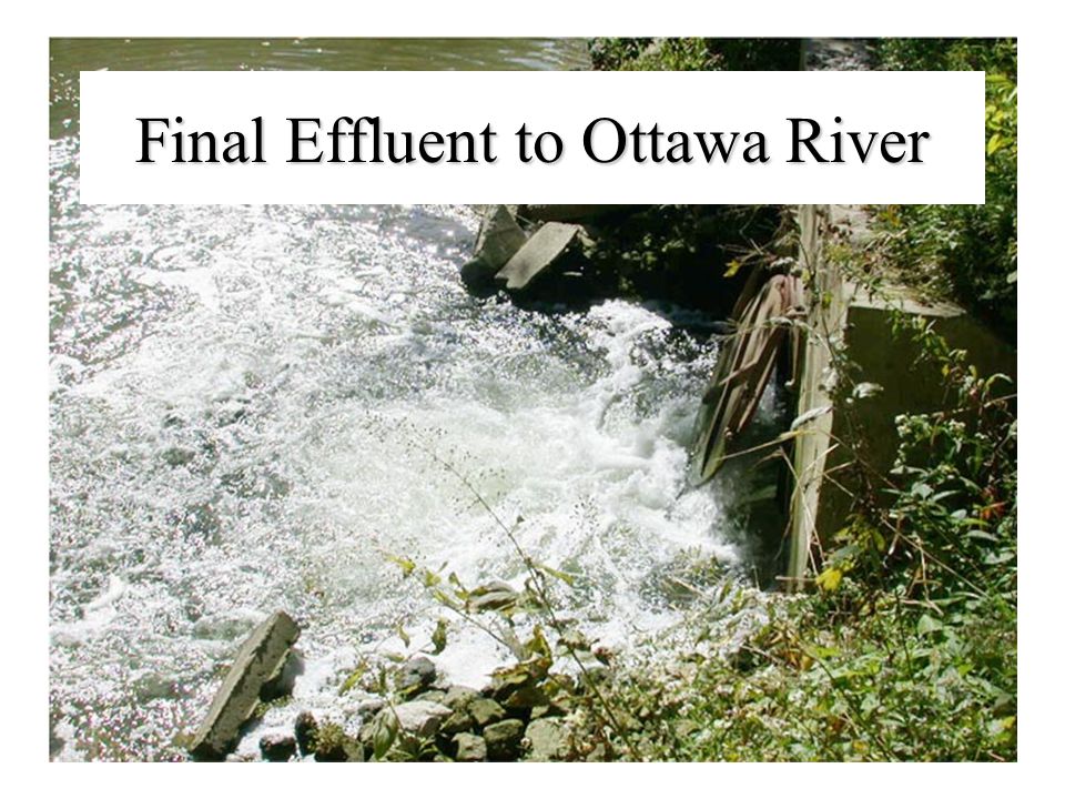 Final Effluent to Ottawa River