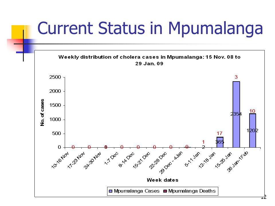 12 Current Status in Mpumalanga