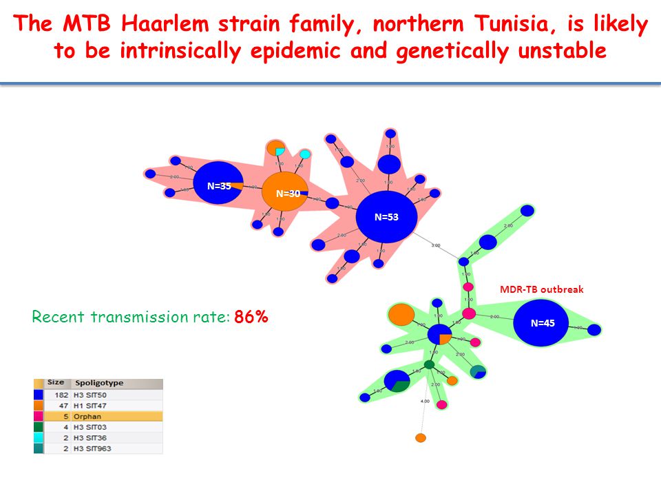 The MTB Haarlem strain family, northern Tunisia, is likely to be intrinsically epidemic and genetically unstable N=35 N=30 N=53 N=45 MDR-TB outbreak Recent transmission rate: 86%