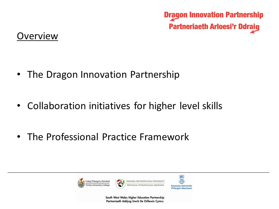 Overview The Dragon Innovation Partnership Collaboration initiatives for higher level skills The Professional Practice Framework