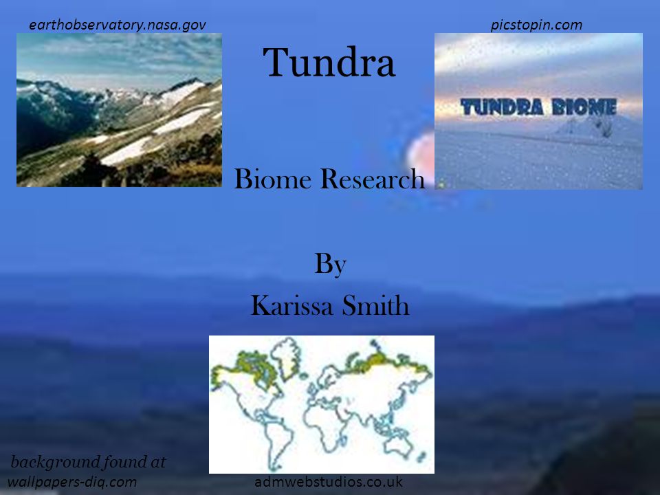Tundra Biome Research By Karissa Smith admwebstudios.co.uk earthobservatory.nasa.govpicstopin.com background found at wallpapers-diq.com