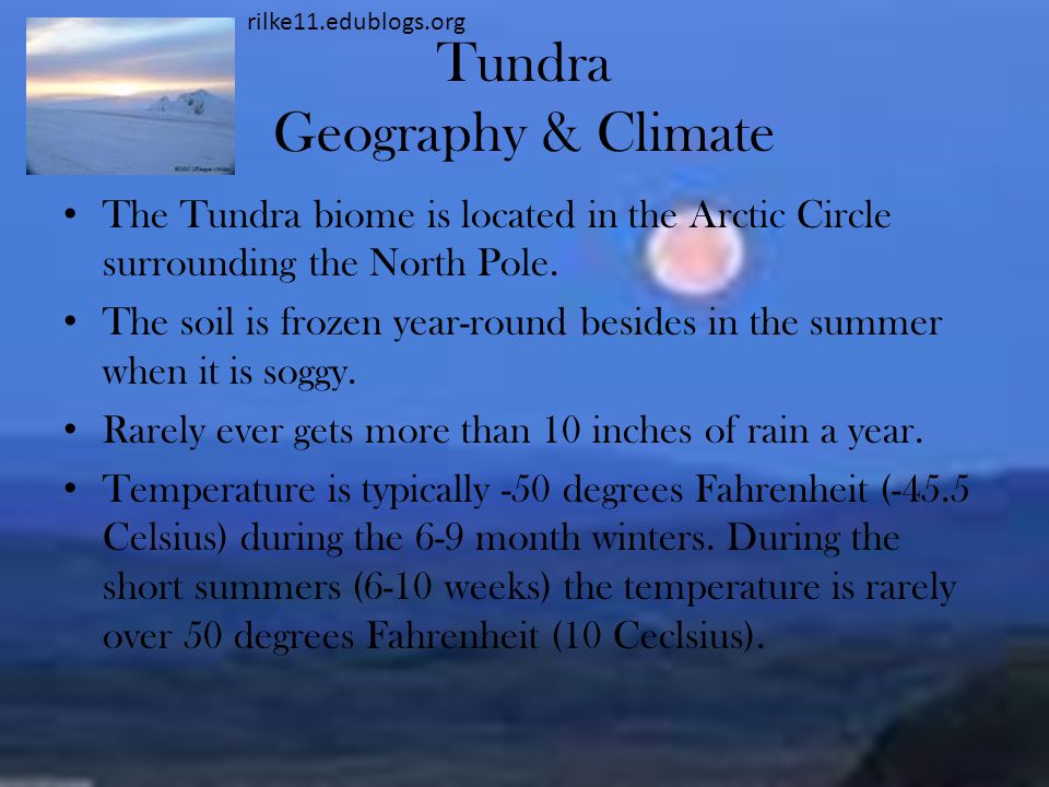 Tundra Geography & Climate The Tundra biome is located in the Arctic Circle surrounding the North Pole.