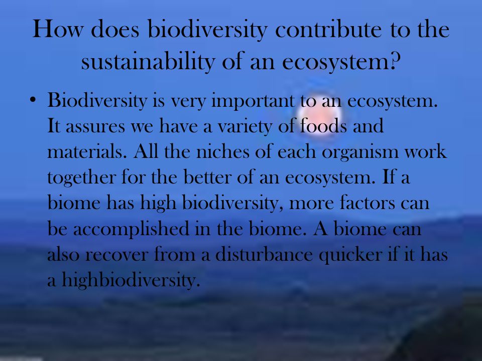 How does biodiversity contribute to the sustainability of an ecosystem.