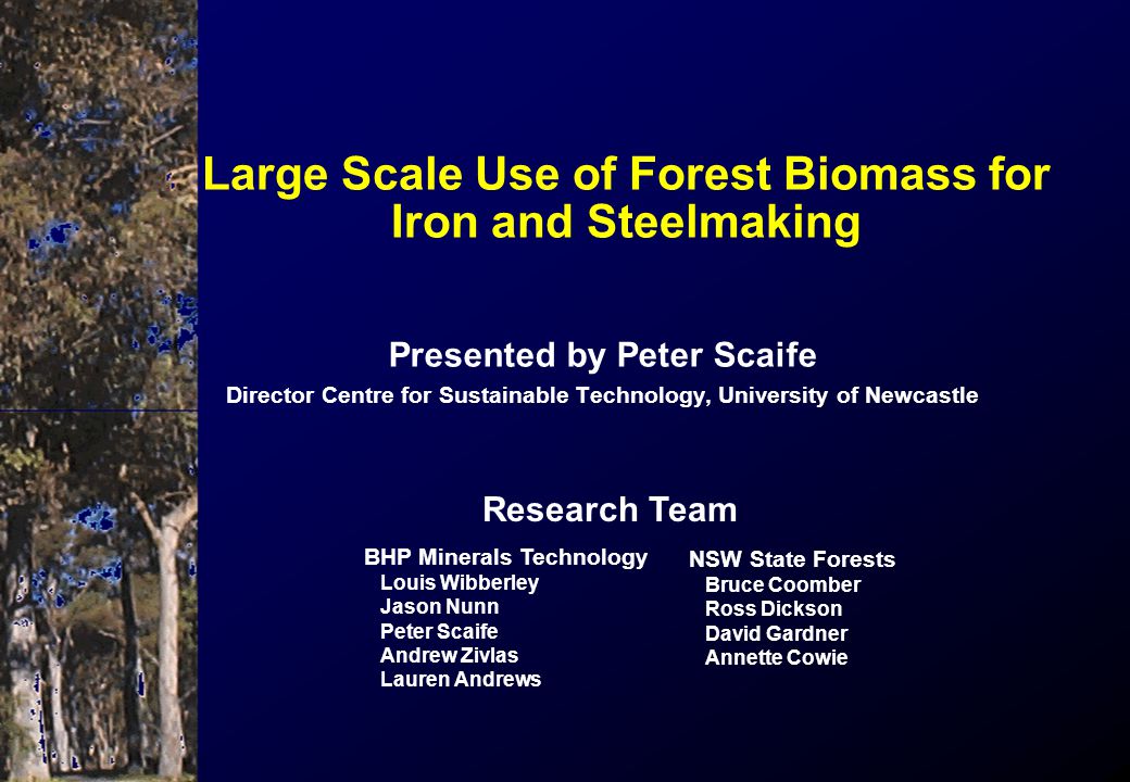 Presented by Peter Scaife Director Centre for Sustainable Technology, University of Newcastle Large Scale Use of Forest Biomass for Iron and Steelmaking BHP Minerals Technology Louis Wibberley Jason Nunn Peter Scaife Andrew Zivlas Lauren Andrews NSW State Forests Bruce Coomber Ross Dickson David Gardner Annette Cowie Research Team