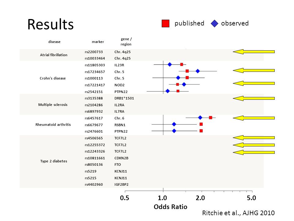 Results Odds Ratio 2.0 Ritchie et al., AJHG 2010 rs Chr.