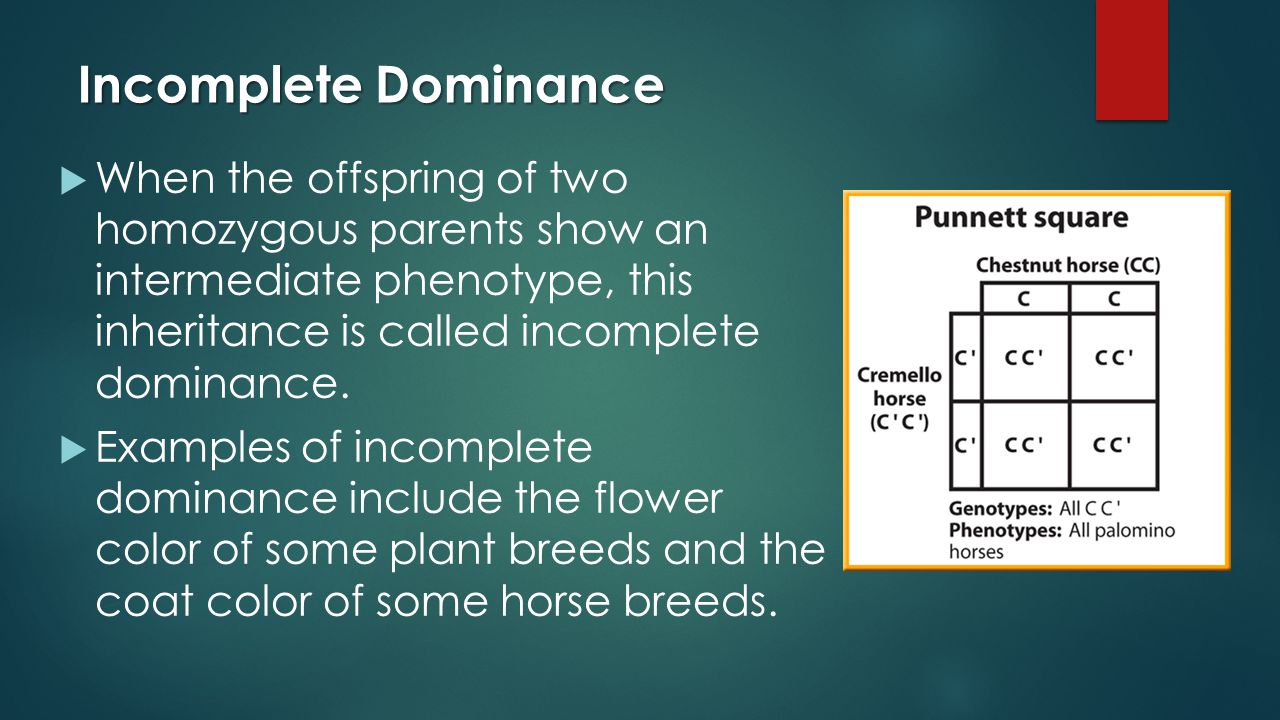 Incomplete Dominance  When the offspring of two homozygous parents show an intermediate phenotype, this inheritance is called incomplete dominance.