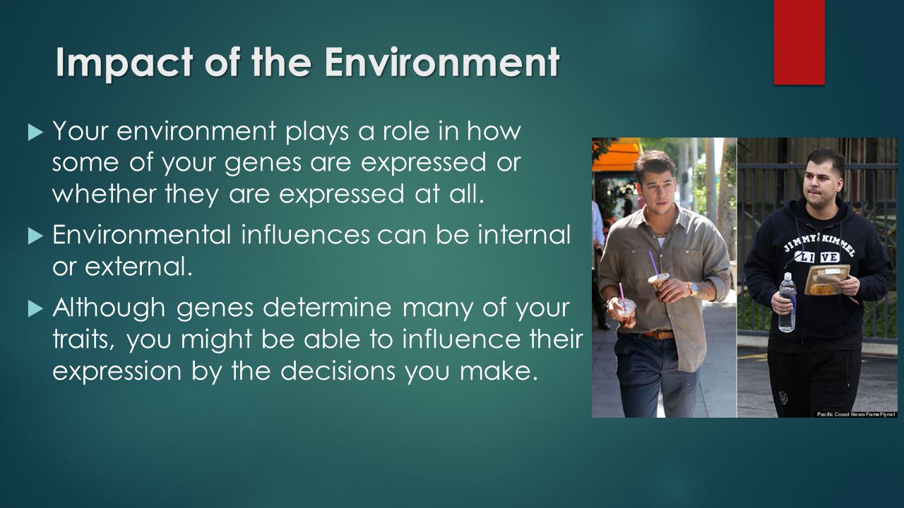 Impact of the Environment  Your environment plays a role in how some of your genes are expressed or whether they are expressed at all.