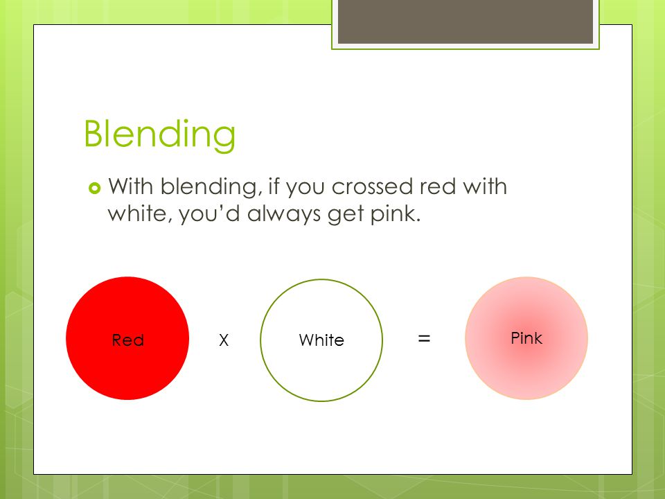 Blending  With blending, if you crossed red with white, you’d always get pink. RedWhite Pink X =