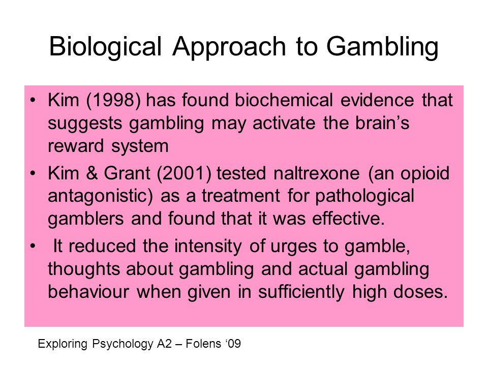 Pathological Gambling Reward System