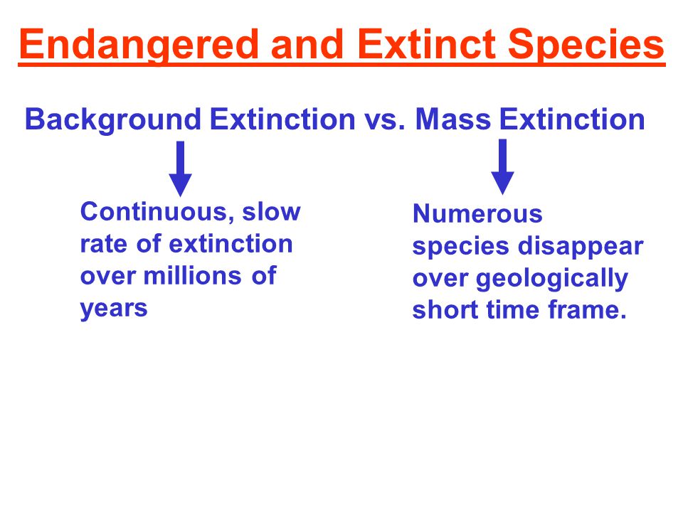 Unduh 74 Background Extinction Gratis Terbaik