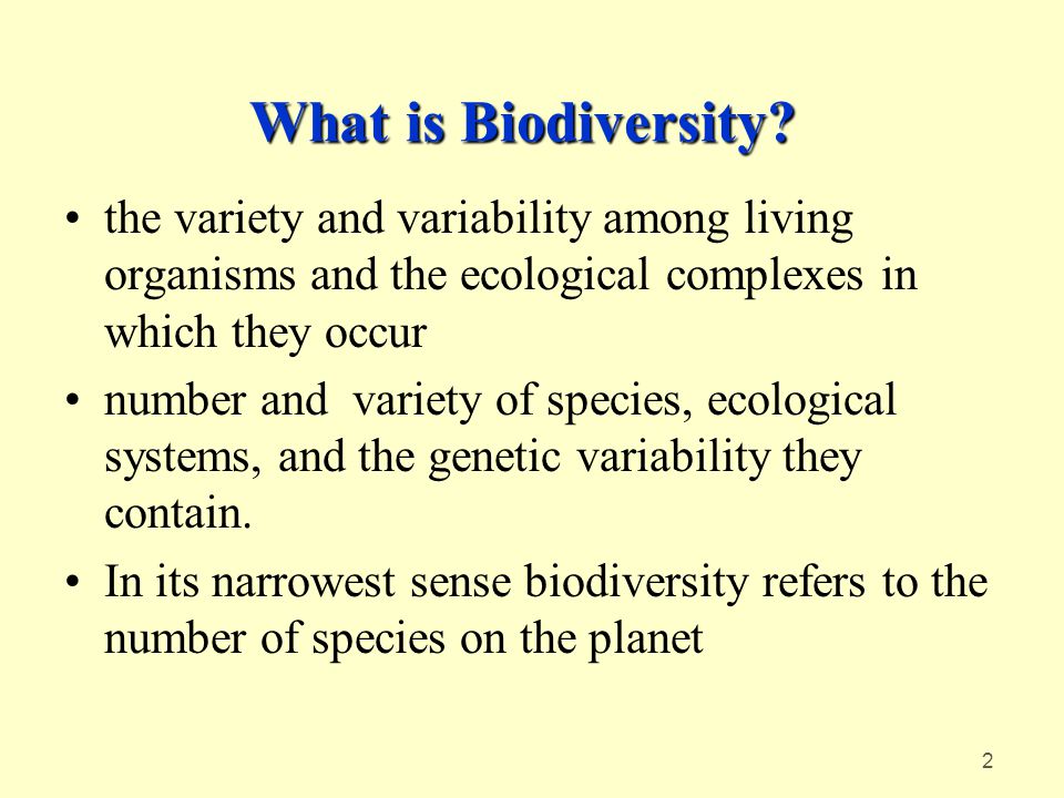 1 Threats to Global Biodiversity We wish to know: What is biodiversity ...