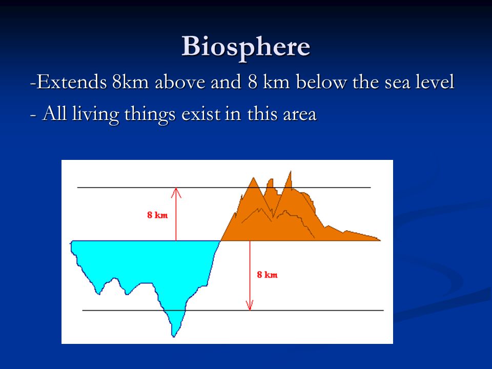 Biosphere -Extends 8km above and 8 km below the sea level - All living things exist in this area