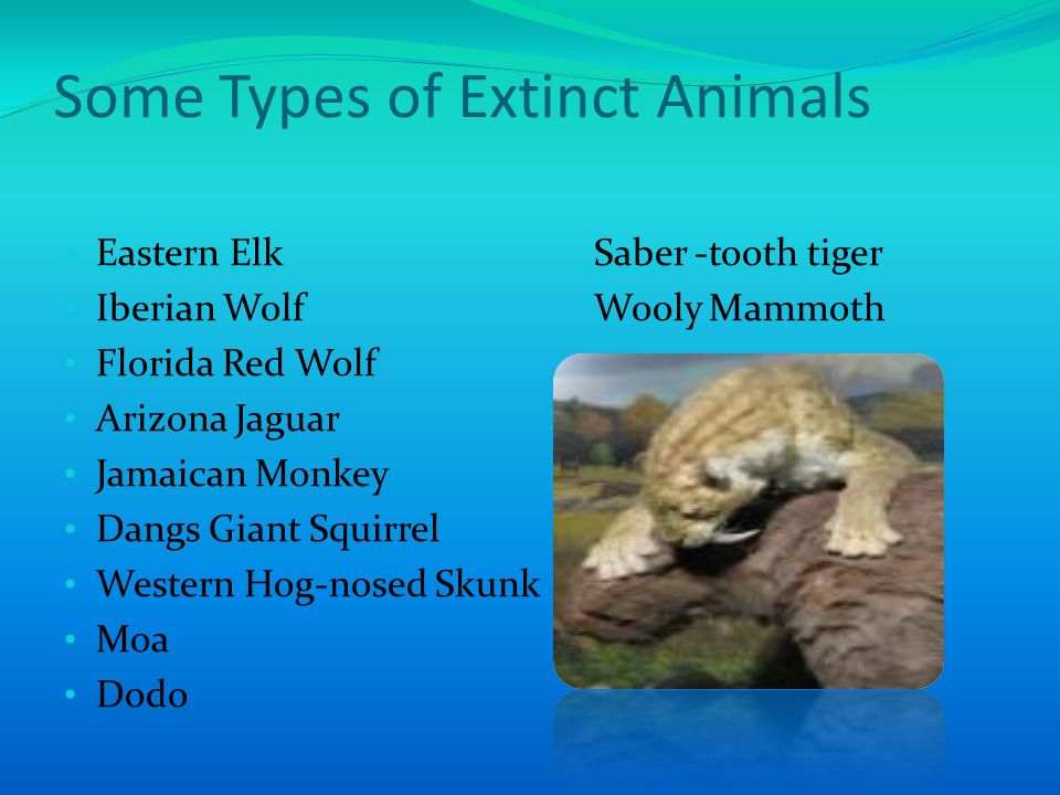 By Yeomans Vaamainuu Room 17. Definition of Extinction Extinction is when  an animal species has totally died out and will be gone forever It is said  that. - ppt download