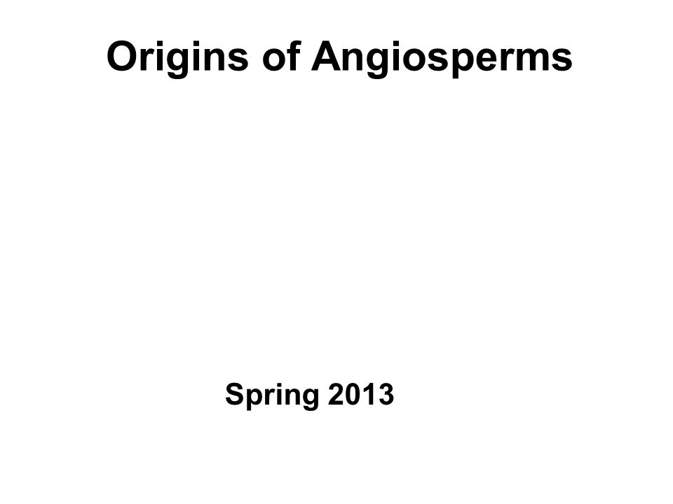Origins of Angiosperms Spring 2013